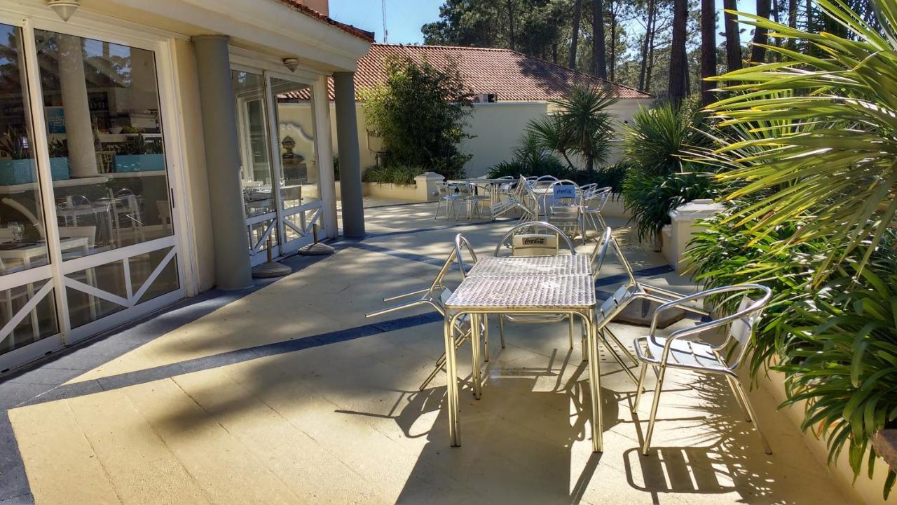 Garden View 2 Dormitorios Con Jardin Y Parrillero Hasta 7 Personas Πούντα ντελ Έστε Εξωτερικό φωτογραφία